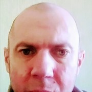  -,   , 41 ,  