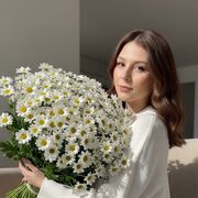 ���������� �����, �����