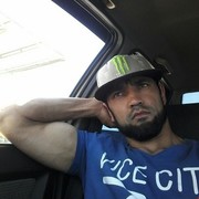 ���������� �������, ���� ������� Daler, 43 ����, ������������ ��� ������, ����� � ���������, c�������� ���������, ���������