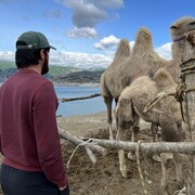 ���������� ���������, ���� ������� ��������, 35 ���, ������������ ��� ������, ����� � ���������