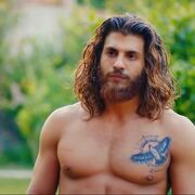 ���������� ���������, ���� ������� ����, 33 ����, ������������ ��� ������, ����� � ���������