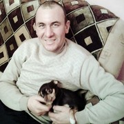 ���������� ����, ������� ���������, 49