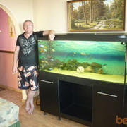 ���������� ������, ���� ������� �����, 44 ����, ������������ ��� ������, ����� � ���������, c�������� ���������