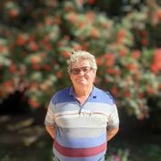  ,  Vik, 60