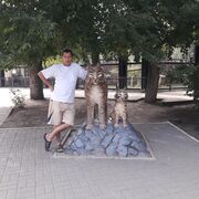 ���������� �������, ���� ������� �������, 46 ���, ������������ 