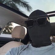 ���������� ������, ���� ������� PERSID, 35 ���, ������������ ��� ������, ����� � ���������, c�������� ���������, ���������