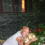  ,   , 44 ,   