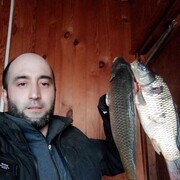 ���������� ��������, ���� ������� ������, 46 ���, ������������ ��� ������, ����� � ���������, c�������� ���������, ���������