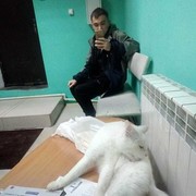  -,   , 31 ,   ,   , c 