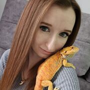 ���������� ���������, ���� ������� �����, 28 ���, ������������ ��� ������, ����� � ���������, ���������