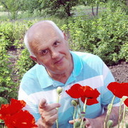  ,   , 61 ,  