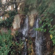 ���������� ���������, ���� ������� ����, 44 ����, ������������ ��� ����� � ���������, c�������� ���������