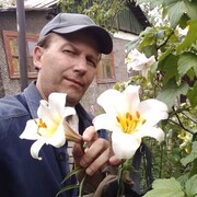  ,   ALEX, 48 ,  