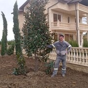 ,   , 48 ,   ,   , c , 