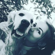  ,   , 29 ,     , c 