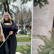 ���������� ���������, ���� ������� ������, 48 ���, ������������ ��� ����� � ���������, c�������� ���������