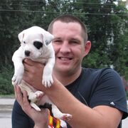 ���������� �����������, ���� ������� ����, 37 ���, ������������ ��� c�������� ���������