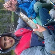 ���������� �����-���������, ���� ������� �������, 41 ���, ������������ ��� ������