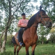 ���������� ������-��-����, ���� ������� ����, 56 ���, ������������ ��� ������, ����� � ���������, c�������� ���������, ���������