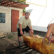 ���������� ������, ���� ������� �������, 46 ���, ������������ ��� ����� � ���������, c�������� ���������