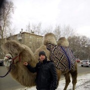 ���������� �����, ������� ��������, 37