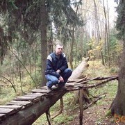 ���������� �����-���������, ���� ������� ���������, 42 ����, ������������ 