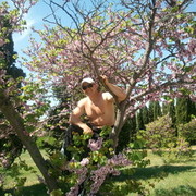 ���������� �����, ���� ������� ����, 50 ���, ������������ 