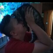 ���������� �����������, ���� ������� ����������, 30 ���, ������������ ��� ������, ����� � ���������, c�������� ���������, ���������