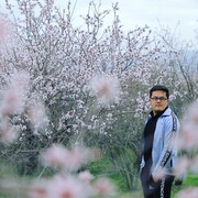  ,   , 29 ,     , c 