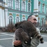 ���������� ������, ���� ������� Corro, 46 ���, ������������ ��� ������, ����� � ���������