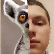  ,  , 22