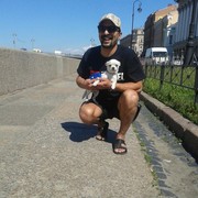 ���������� �����-���������, ���� ������� ���������, 49 ���, ������������ ��� ����� � ���������, c�������� ���������