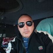  ,   Wolf, 43 ,     