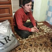  ,   Ozod, 33 ,   ,   