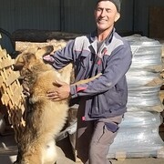 ���������� �������, ���� ������� ������, 55 ���, ������������ ��� ����� � ���������, c�������� ���������