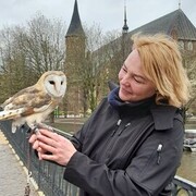  ,   , 52 ,   ,   