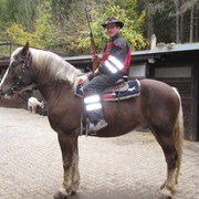 ���������� �������, ���� ������� ������, 37 ���, ������������ ��� ������, ����� � ���������, c�������� ���������