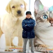  -,   , 52 ,   ,   , c , 