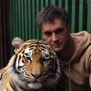 ���������� ������, ���� ������� ����, 43 ����, ������������ ��� ������, ����� � ���������, c�������� ���������