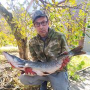  ,   , 58 ,   ,   , c 