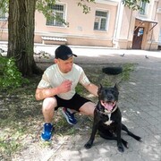  ,  , 38
