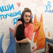 ���������� ���������, ���� ������� ��������, 27 ���, ������������ ��� ������, ����� � ���������, c�������� ���������