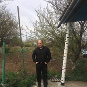  ,   , 46 ,   