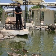 ���������� ����������, ���� ������� ������, 33 ����, ������������ ��� ������, ����� � ���������, c�������� ���������