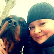 ���������� �����������, ���� ������� �������, 49 ���, ������������ ��� c�������� ���������