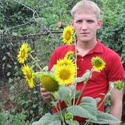  ,   , 41 ,   