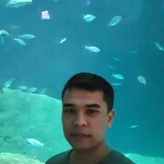 ���������� ����-���, ���� ������� ����, 36 ���, ������������ ��� ������, ����� � ���������, c�������� ���������, ���������