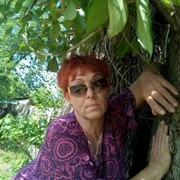  ,   , 53 ,  