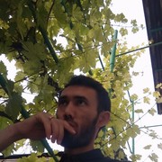 ���������� ������, ���� ������� Sarvar, 34 ����, ������������ ��� ������, ����� � ���������, c�������� ���������