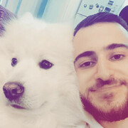 ���������� ������-��-����, ���� ������� �����, 29 ���, ������������ ��� ������, ����� � ���������